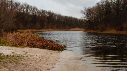 Akua Design - L’aquarium Biotope - découvrir de nouveaux horizons