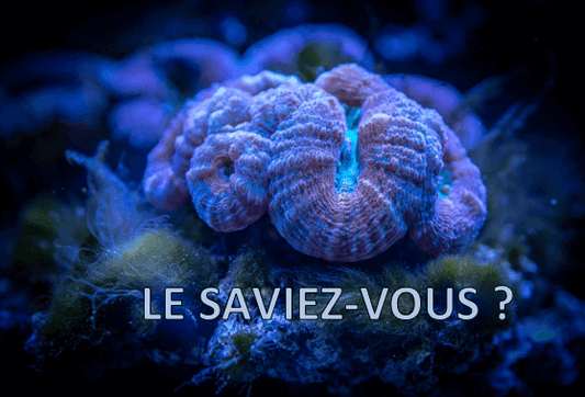 Le saviez-vous