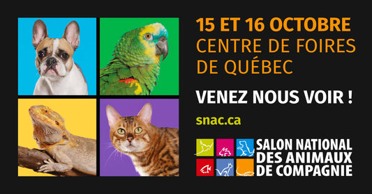 Salon des animaux de compagnie