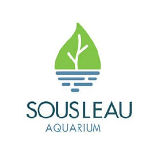 Nouveau dépositaire - Sousleau.ca