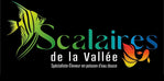 Logo de Scalaires de la vallée