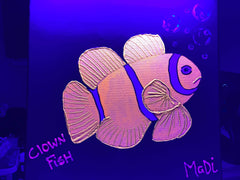Clown fish