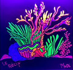 the reef